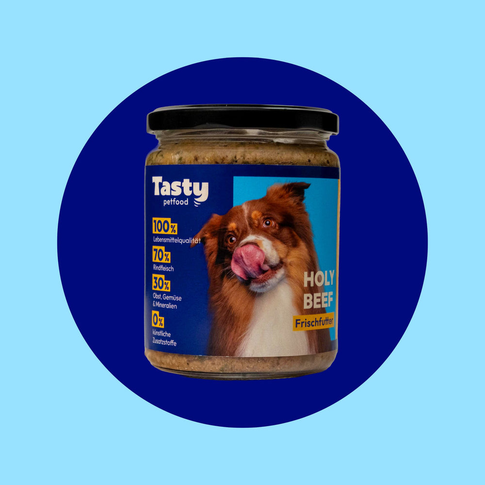 Glas Tasty Petfood Holy Beef – Frischfutter für Hunde mit Rind