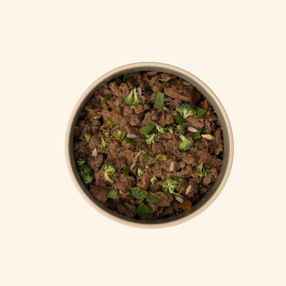 Glas Tasty Petfood Holy Beef – Frischfutter für Hunde mit Rind