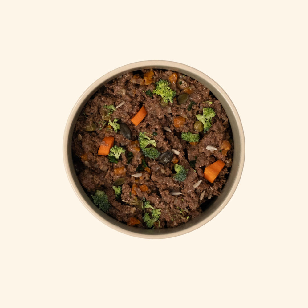 Glas Tasty Petfood Horse Power – Frischfutter für Hunde mit Pferd