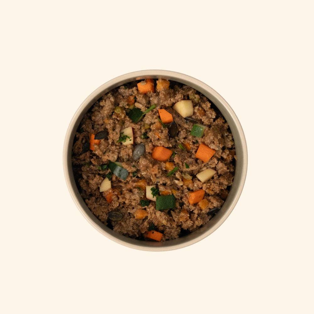 Glas Tasty Petfood Supreme Salmon – Frischfutter für Hunde mit Lachs
